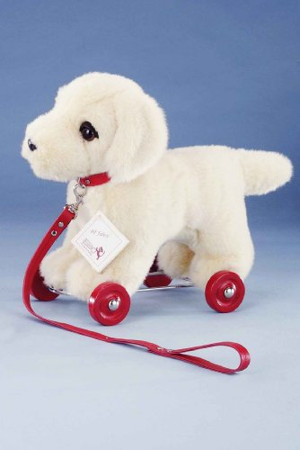 EBO48328 - Golden Retrieverwelpe auf Radgestell