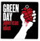 Magnet Metal Green Day