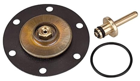 RIEGLER 100905-22.733.4 Verschleißteilesatz, für Konstant-Druckregler, BG 1, 1Stk