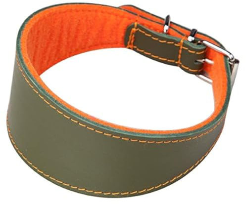 Arppe 2155015092 Superfelt Lederhalsband für Windhunde, Grün und Orange