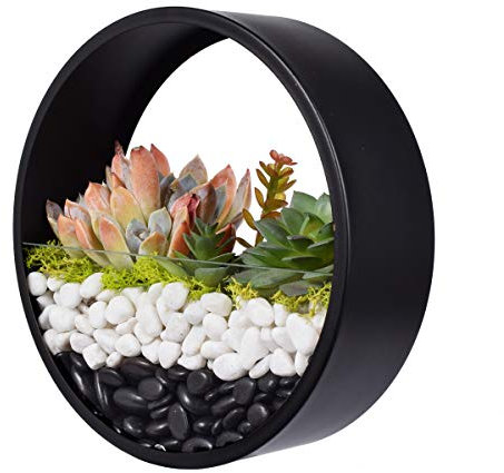 Murale Planteur,DéCoration Mur Pots à Suspendre MéTal Ronde Pots De Fleurs à Suspendu Verre Mural JardinièRe Clair Vase pour Artificielles Fleur,Cactus,Succulentes,DéCor pour Salon Salle à Manger