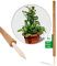 Novatool 3X Kokosstab für Pflanzen 80 cm I Ø 45mm I verlängerbar I natürlicher Kokosfaser I Rankstab Kokos für Monstera Pflanze Efeutute Moss Pole