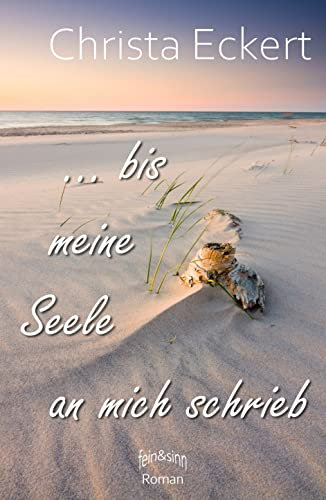 Bis meine Seele an mich schrieb: Außergewöhnlicher Roman einer Selbstfindung