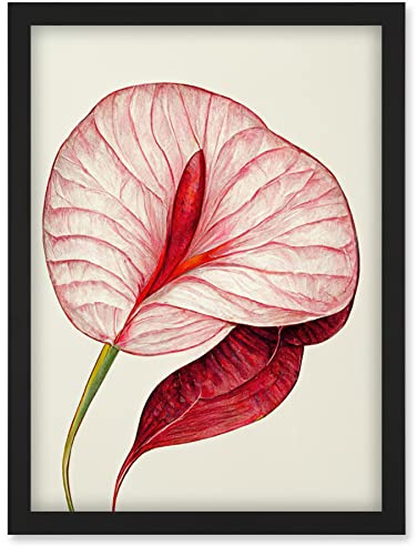 Doppelganger33 LTD Single Red Laceleaf Flower Illustration Anthurium Artwork Framed Wall Art Print A4