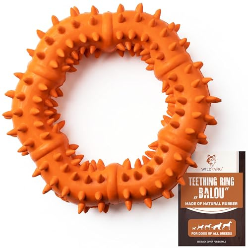 Wildfang® Spielzeug für Hunde aus 100% Naturkautschuk | Beißring Balou - nahezu unzerstörbar - Kauspielzeug für Hunde - ungiftig - Kauknochen für Hunde - BPA-frei - umweltfreundlich