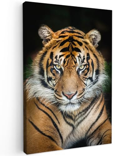 MuchoWow Leinwand Bilder, Einzigartige Wanddeko mit Rahmen, Tiger - Schwarz, Wandbilder Wohnzimmer, Deko Schlafzimmer 40x60 cm