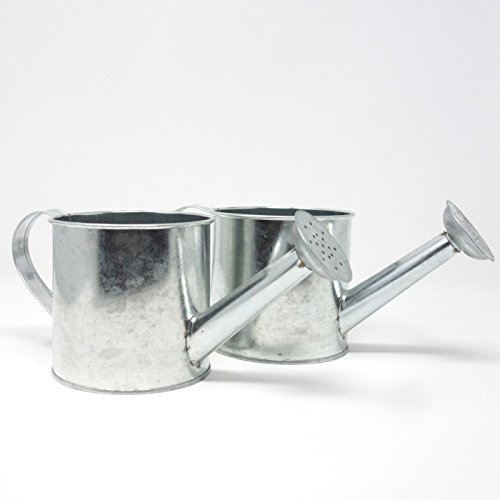 Shophaus24 Metall Blech Gießkannen verzinkt. L 23cm / Topf D 10,5cm. ​2 Stück