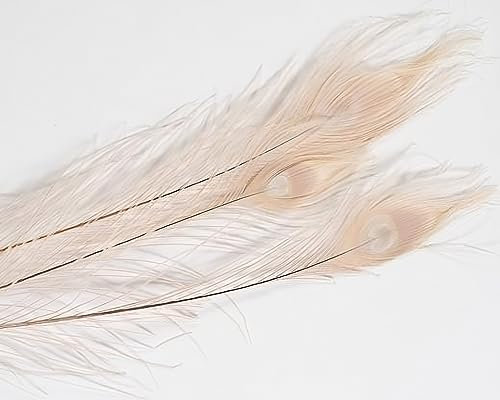 NaDeco Pfauenfeder Gebleicht ca. 90-100cm | Pfauen-Feder in Weiß | Schmuckfeder | Hutfeder | weiße Dekofeder | Feder vom Pfau | Pfauenauge | Pfauenschwert | Maskenfeder | Boho-Deko | Boho-Style