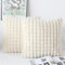 OYIMUA Beige Kissenbezug 50x50 2er Set Flauschig Kuschelkissen Plüsch Kissenbezüge Dekokissen Weich Pelz Kissenhülle Luxus Sofakissen Quadratisch Deko Kissen