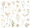 12 Stück Set Sticker Blumen, Aufkleber Blumen Dekorative Gänseblümchen Transparente Folie Vintage-Optik, Wasserdicht DIY Bastelzubehör für Alben Geschenkverpackung Handlettering