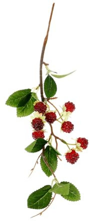 Luxshiny Adornos De Frambuesa Simulados Fruta Falsa Realista Y Tazón Bayas Artificiales para De Bayas Falsas Palillo De Frambuesa Decoraciones De Bayas Realistas