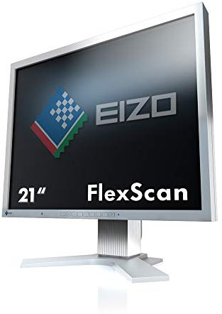 EIZO S2133-HGY LCD Monitor 21.3