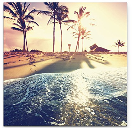 Leinwandbilder | Bilder Leinwand 90x90cm Tropischer Strand mit Palmen