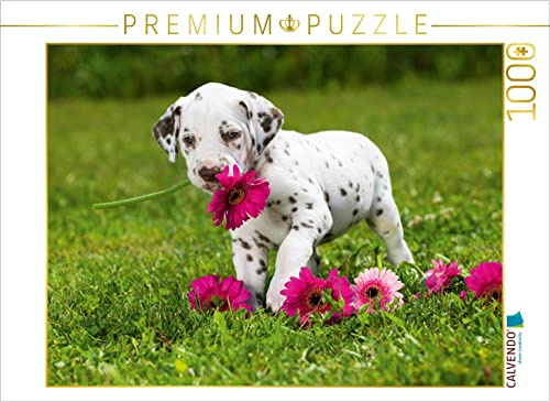 CALVENDO Puzzle Niedlicher Dalmatinerwelpe mit rosafarbenen Gerberablüten | 1000 Teile Lege-Größe 64 x 48 cm Foto-Puzzle für glückliche Stunden