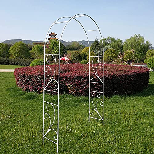 Metall Gartenbogen,Schmiedeeisen Garden Arch,Gartenlaube Pergola Rankhilfe Rankgitter,Rosenbogen mit Graceful Kurve für Kletterpflanzen clematis,Spalier,wetterfest und freistehend,Rasengarten Terras