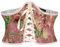 SCARLET DARKNESS Ceinture Rétro Femme Ceinture Corset À Lacets Waspie Ceinture Large Fleurs Roses 44