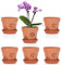 SUMTree 10.1cm Terracotta Orchid Pots, 6 Pack Terracotta Orchid Pots with Holes and Saucers, Small Terra Cotta Orchid Pot, Plant Flower Pots for Orchid Indoor Outdoor Promotes Air Circulation