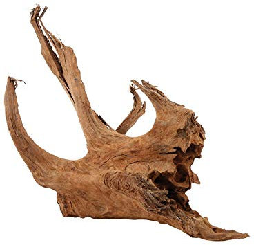Zolux – Wurzel Mangrove – 15 bis 25 cm