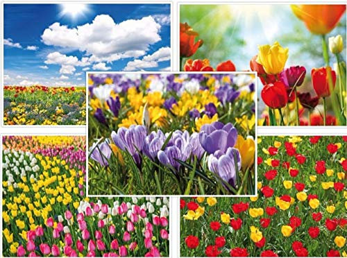 Edition Colibri FRÜHLING Postkarten-Set (10 St.) 5 verschiedene Motive von Tulpen, Osterglocken und Krokussen