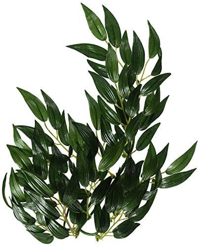 Exo Terra Silk Rucus Plant, Small