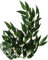 Exo Terra Silk Rucus Plant, Small