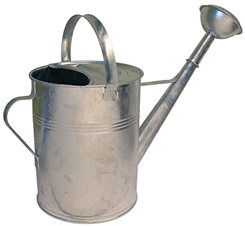 Metal regadera 9 litros, galvanizado
