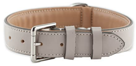 Brute Strength – Hundehalsband aus Leder – Hellgrau – XL · 56–63 cm | Weich gepolstertes Echtleder-Halsband für Hunde; Messingschnalle, D-Ring und separater Ring für die Hundemarke