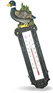 Piantallegra Thermomètre en fonte avec canard pour extérieur et intérieur
