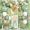 Jobkoo Sage Green Birthday Decorations, Green Gold White Birthday Balloons Fringe Curtain Birthday Sash Star Foil Balloon Retro Green White Gold Latex Balloons for Girl Women Birthday Party Decoration