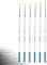Himmlfel Rigger Brush Set, 6 Pinceaux Rigger pour Peindre des Fines Lignes Longues, des brins d'herbe, des Cheveux et Plus Encore. Pinceaux pour Peinture Acrylique, Aquarelle, Huile et Gouache