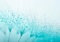 wandmotiv24 Fototapete Pusteblume Türkis Größe: 400 x 280 cm Wandbild - Motivtapete KT347