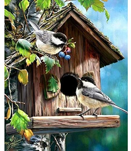 Cukol Kreuzstich Set Vorgedruckt Erwachsene Vogel, Stickvorlagen Stickbilder Vorgedruckt Kreuzstich Stickpackungen Stickpackung Stickbild Stickset Sticken Set Cross Stitch Kit 36 x 46 cm