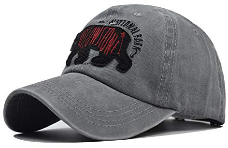 Herren Kappe Hut Mode Männer Baseball Cap 100% Baumwolle Snapback Frauen Papa Hut Knochen Trucker Cap 3D Stickerei-Grau