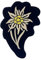 WW2 German Mountain Division Elite Edelweiss Patch (7,6 cm) Military Tactics Moral Embroidered Iron on or Sewon Badge DIY Costume Collectible Repro Gift Patches