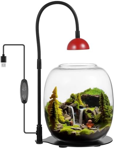 Terrarium en verre avec lumière pour plantes grasses, lumière de croissance programmée avec alimentation USB, idéal pour les jardins miniatures, les poissons Betta et la décoration intérieure