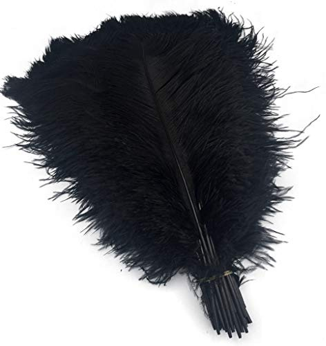 Shekyeon 16-18inch Black Ostrich Feathers DIY Craft Large Feather for Wedding Party Centerpicecs Flower Arrangement and Easter Gatsbi Decortion Pack of 10