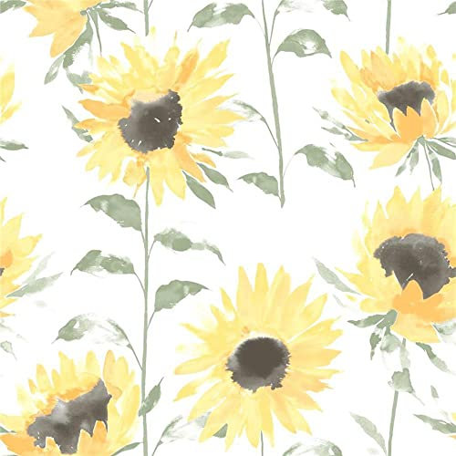 Painted Sunflower Yellow Wallpaper - Floral Flowers Nature White Green - Textured Modern Feature Wall