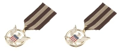 Anstecknadel mit USA-Flagge und Adler, Medaille, Patriotischer Schmuck