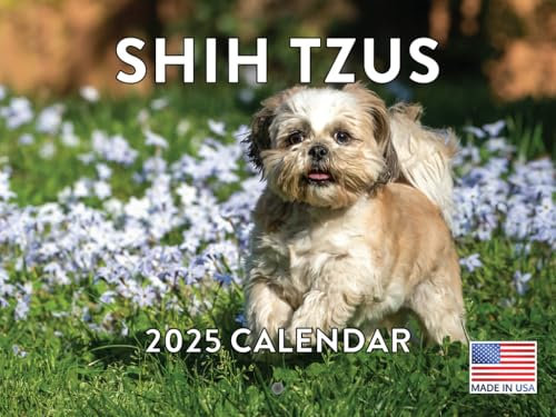Shih Tzus Wandkalender 2021 für 12 Monate, mit lustigem Welpenmotiv, dicke Papierseiten, gefaltet, fertig zum Aufhängen, 45,7 x 30,5 cm