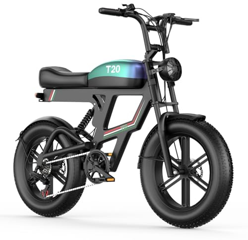 ASKGO E Bike Herren Damen, 48V 20Ah Akku, 20 * 4.0 All-Terrain Fat Reifen Elektrofahrrad mit 250W 80N*M Motor, bis 25km/h bis zu 60-80km, NFC und Passwort Entsperrung