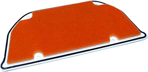 HiFlo Air Filter HFA2905