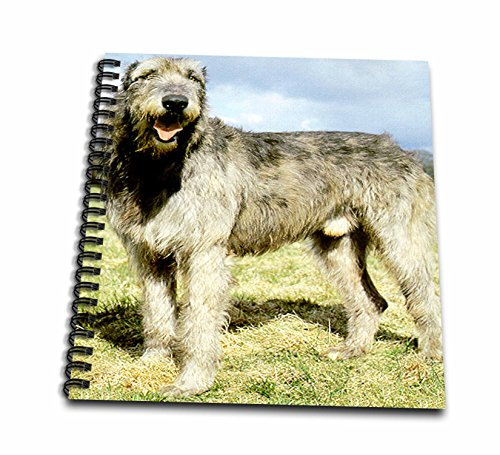 3dRose db_487_2 Irish Wolfhound-Erinnerungsbuch, 30,5 cm, mehrfarbig