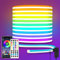 segrass LED neon Lights Strip,DC 24V 10M RGB LED neon Light Strip APP Fernbedienungen Steuerung Flexible Waterproof Neon LED Strip Lights for Bedroom,Spielzimmer,Outdoors Décor