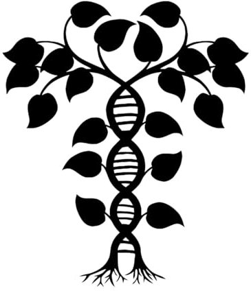 Adesivi murali di biologia Adesivo da parete in vinile Albero genealogico della vita del DNA Spirale Genere Homeation Accessori per il soggiorno-XL-85x99cm-Black