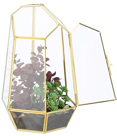 Relaxdays Terrario Plantas, Cristal y Cobre, Casa Decorativa Vidrio para Cactus y Musgo, Terrarium para Ventana, Dorado, 20% 80%, 26x18x15 cm