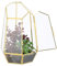 Relaxdays Terrario Plantas, Cristal y Cobre, Casa Decorativa Vidrio para Cactus y Musgo, Terrarium para Ventana, Dorado, 20% 80%, 26x18x15 cm