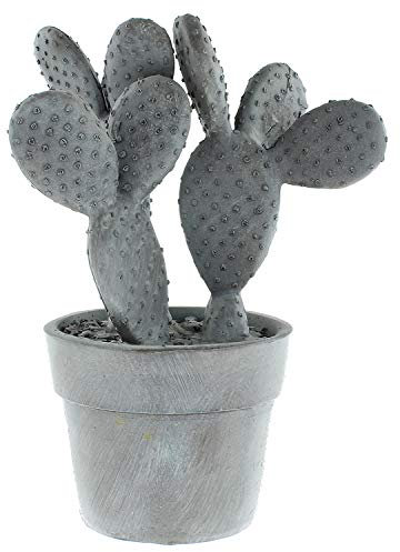 MACOSA LC181197 - Figura decorativa de cactus (polirresina, 17 x 24 cm), color gris