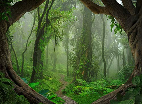Livingwalls Fototapete Designwalls Vliestapete Tropical Forest Tapete Wald in Braun, Grau, Grün, Taupe 350 x 255 cm XXL Wandtapete Wandbild 118632