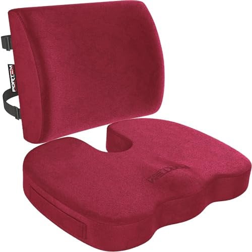 FORTEM Coussin Chaise, Coussin Lombaire, Coussin Lombaire Chaise Bureau, Coussin Memoire Forme, Antidérapant pour Assise et Dossier de Jeu, Coussin de Siège de Voiture, Coussin Lombaire Voiture