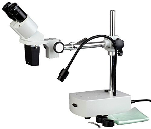 AmScope SE400-LED microscopio binocular LED 10x, brazo con cuello de cisne y luz